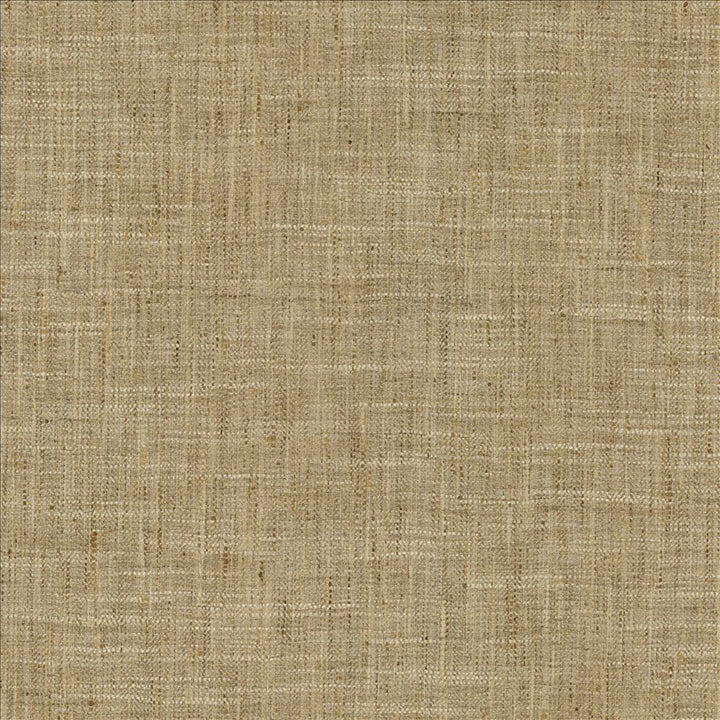 By A Mile Raffia by Kasmir Fabric 5162 100% Polyester
 INDIA 51,000 Wyzenbeek Double Rubs </p><p>Repeat: Horizontal: N/A and Vertical: N/A 54 - Fabric Carolina -