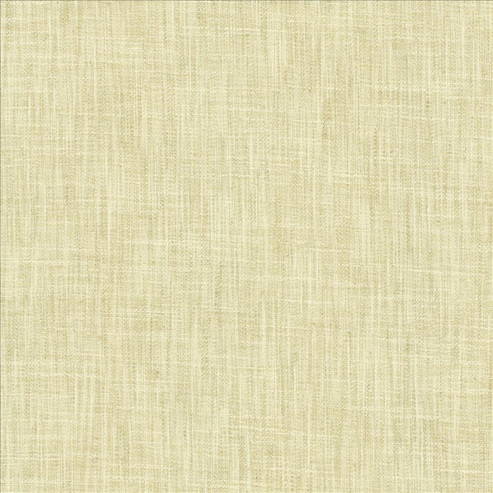 By A Mile Sugarcane by Kasmir Fabric 5162 100% Polyester
 INDIA 51,000 Wyzenbeek Double Rubs </p><p>Repeat: Horizontal: N/A and Vertical: N/A 54 - Fabric Carolina -
