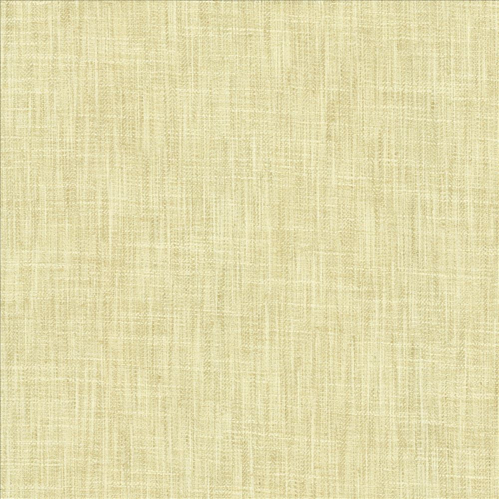 By A Mile Sugarcane by Kasmir Fabric 5162 100% Polyester
 INDIA 51,000 Wyzenbeek Double Rubs Horizontal: N/A and Vertical: N/A 54 - Fabric Carolina -