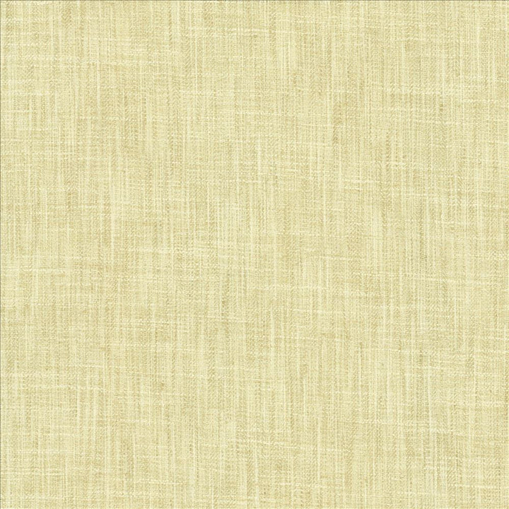 By A Mile Sugarcane by Kasmir Fabric 5162 100% Polyester
 INDIA </p><p>Repeat: Horizontal: N/A and Vertical: N/A 54 - Fabric Carolina -