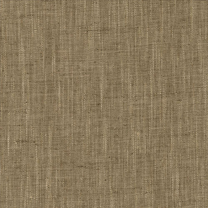 By A Mile Truffle by Kasmir Fabric 5162 100% Polyester
 INDIA 51,000 Wyzenbeek Double Rubs </p><p>Repeat: Horizontal: N/A and Vertical: N/A 54 - Fabric Carolina -