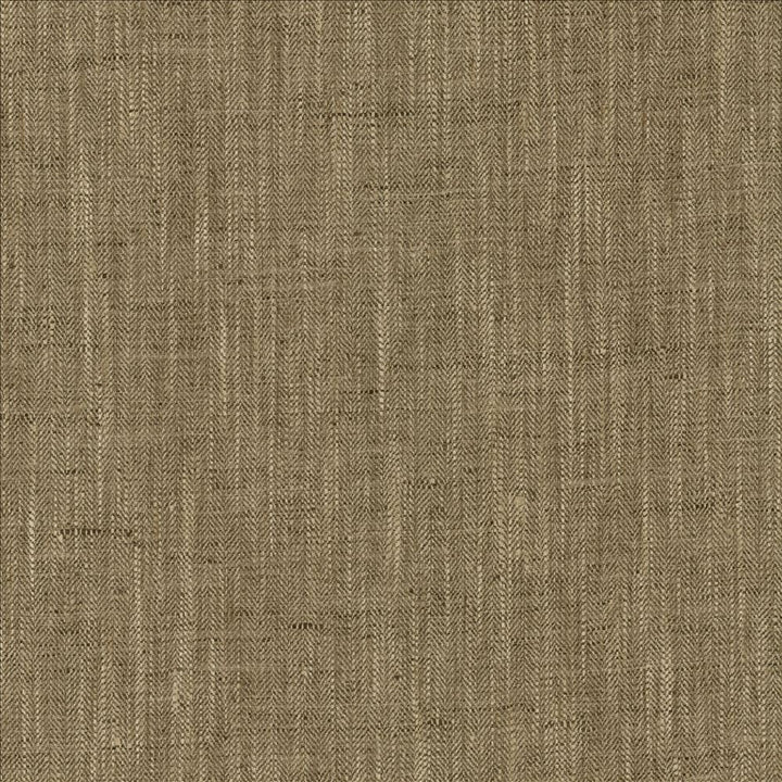 By A Mile Truffle by Kasmir Fabric 5162 100% Polyester
 INDIA </p><p>Repeat: Horizontal: N/A and Vertical: N/A 54 - Fabric Carolina -