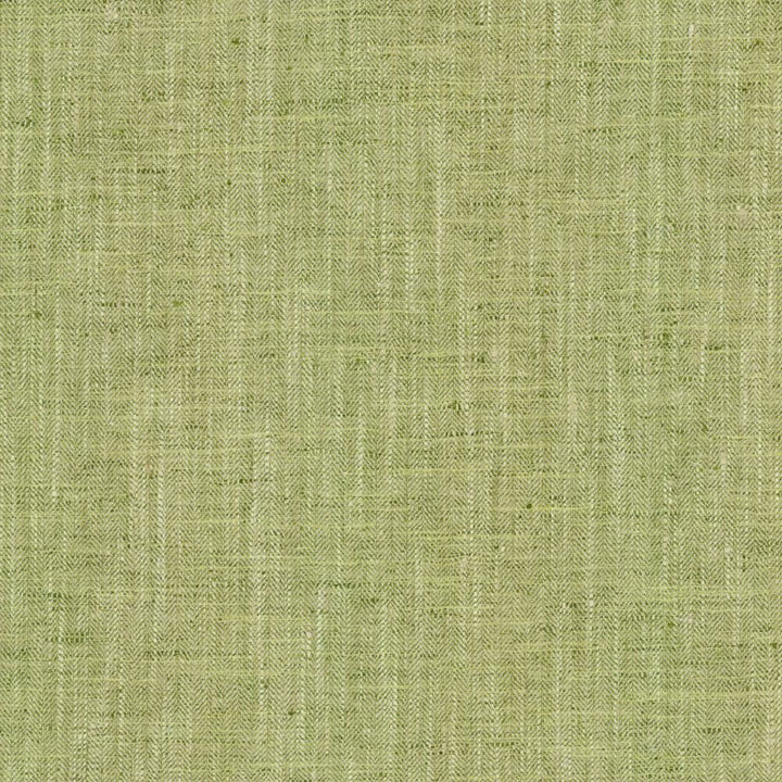 By A Mile Grass by Kasmir Fabric 5162 100% Polyester
 INDIA </p><p>Repeat: Horizontal: N/A and Vertical: N/A 54 - Fabric Carolina -