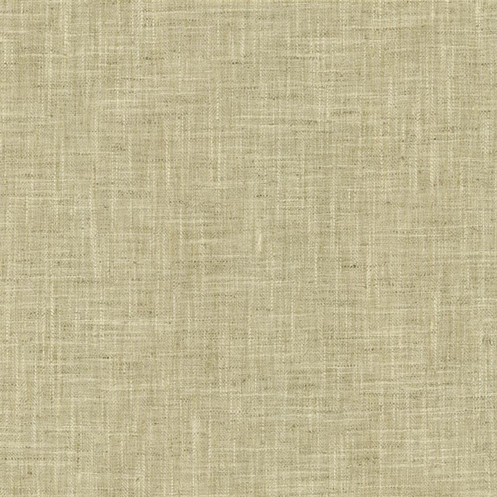 By A Mile Moonstone by Kasmir Fabric 5162 100% Polyester
 INDIA </p><p>Repeat: Horizontal: N/A and Vertical: N/A 54 - Fabric Carolina -