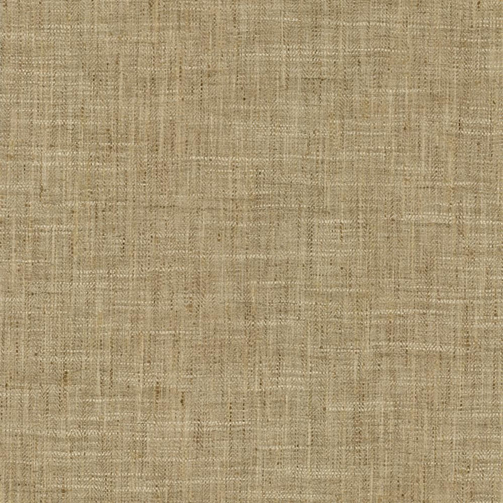 By A Mile Raffia by Kasmir Fabric 5162 100% Polyester
 INDIA </p><p>Repeat: Horizontal: N/A and Vertical: N/A 54 - Fabric Carolina -