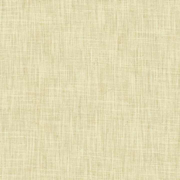 By A Mile Sugarcane by Kasmir Fabric 5162 100% Polyester
 INDIA </p><p>Repeat: Horizontal: N/A and Vertical: N/A 54 - Fabric Carolina -
