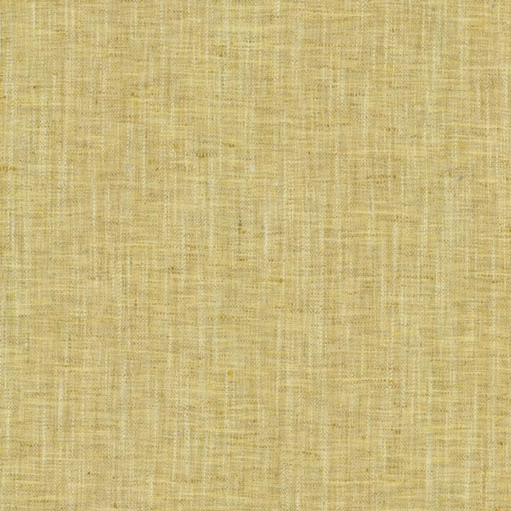 By A Mile Sunshine by Kasmir Fabric 5162 100% Polyester
 INDIA </p><p>Repeat: Horizontal: N/A and Vertical: N/A 54 - Fabric Carolina -