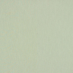 SJA 3967 137 Canvas Mint by Sunbrella Fabric