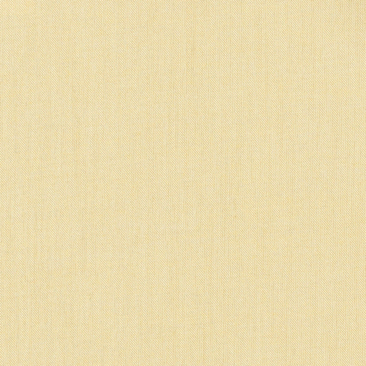 40061-0032 Meridian Maize by Sunbrella Fabric Sunbrella Acrylic USA or Imported 5-Year Horizontal: and Vertical: 60 54 in. - Fabric Carolina -
