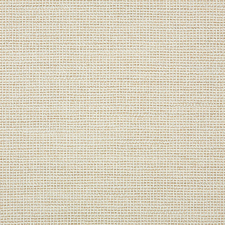 44282-0001 Demo Parchment by Sunbrella Fabric Sunbrella Fusion Sunbrella Acrylic USA or Imported 5-Year Horizontal: and Vertical: 60 yd. 54 in. - Fabric Carolina -
