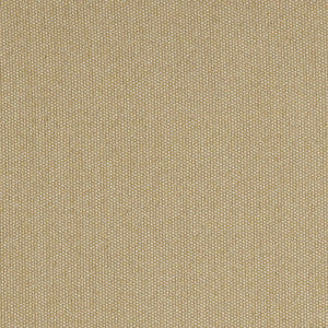 ZOR R060 140 Zori Straw by Sunbrella Fabric