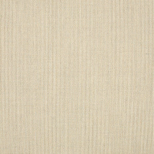 58018 Volt Sand by Sunbrella Fabric