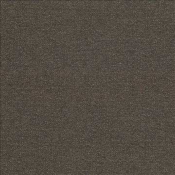 Cabo Bark by Kasmir Fabric 5042 100% Polyester CHINA 15,000 Wyzenbeek Double Rubs H: N/A, V: N/A 56 - Fabric Carolina - Kasmir