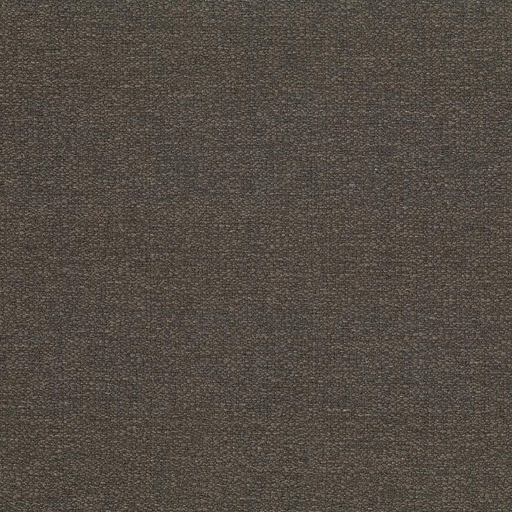 Cabo Bark by Kasmir Fabric 5042 100% Polyester CHINA 15,000 Wyzenbeek Double Rubs H: N/A, V:N/A 56 - Fabric Carolina - Kasmir