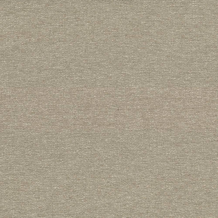 Cabo Camel by Kasmir Fabric 5042 100% Polyester CHINA 15,000 Wyzenbeek Double Rubs H: N/A, V:N/A 56 - Fabric Carolina - Kasmir