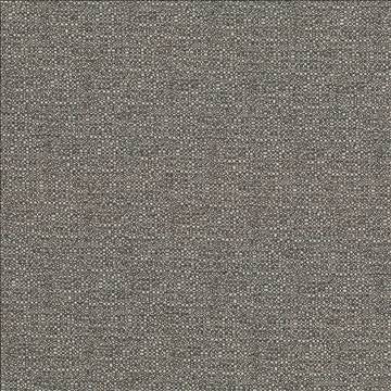 Cabo Cocoa by Kasmir Fabric 5042 100% Polyester CHINA 15,000 Wyzenbeek Double Rubs H: N/A, V: N/A 56 - Fabric Carolina - Kasmir