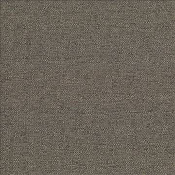Cabo Latte by Kasmir Fabric 5042 100% Polyester CHINA 15,000 Wyzenbeek Double Rubs H: N/A, V: N/A 56 - Fabric Carolina - Kasmir