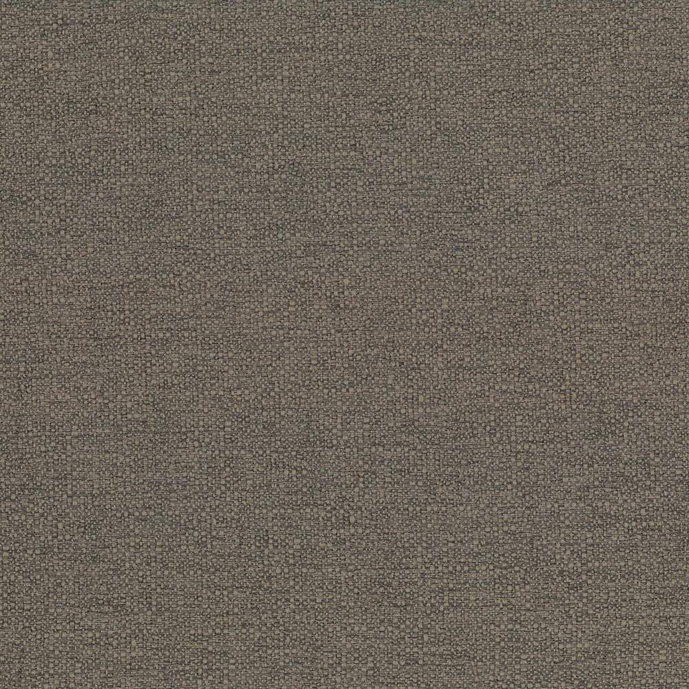 Cabo Latte by Kasmir Fabric 5042 100% Polyester CHINA 15,000 Wyzenbeek Double Rubs H: N/A, V:N/A 56 - Fabric Carolina - Kasmir