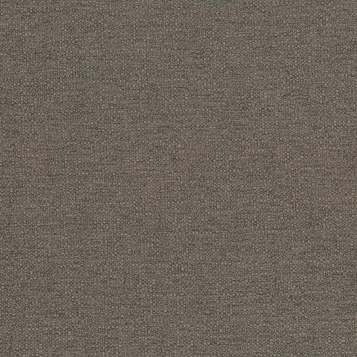 Cabo Latte by Kasmir Fabric 5042 100% Polyester CHINA 15,000 Wyzenbeek Double Rubs H: N/A, V:N/A 56 - Fabric Carolina - Kasmir