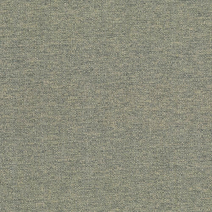 Cabo Oak by Kasmir Fabric 5042 100% Polyester
 CHINA 15,000 Wyzenbeek Double Rubs Horizontal: N/A and Vertical: N/A 56 - Fabric Carolina -