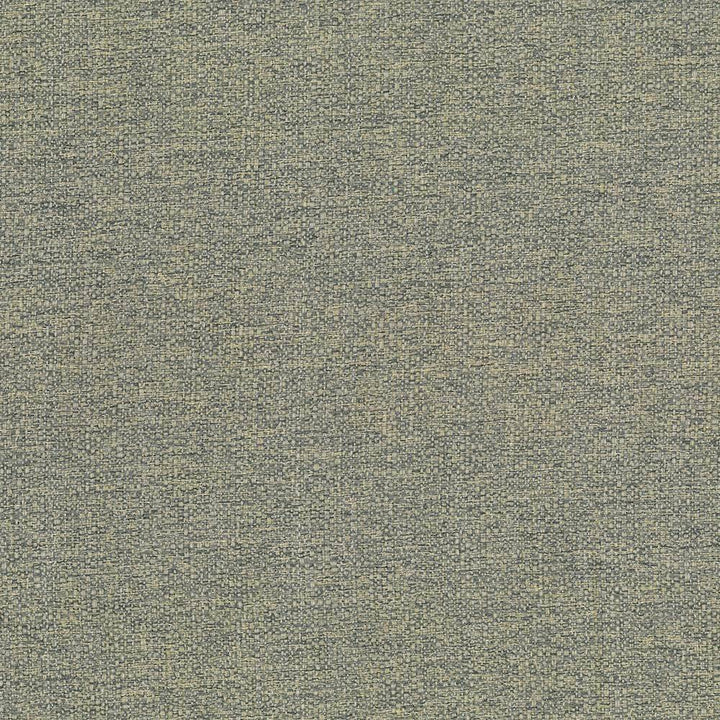 Cabo Oak by Kasmir Fabric 5042 100% Polyester CHINA 15,000 Wyzenbeek Double Rubs H: N/A, V:N/A 56 - Fabric Carolina - Kasmir