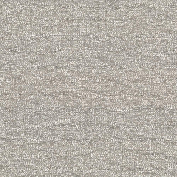 Cabo Oatmeal by Kasmir Fabric 5042 100% Polyester CHINA 15,000 Wyzenbeek Double Rubs H: N/A, V:N/A 56 - Fabric Carolina - Kasmir