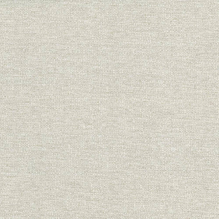 Cabo Pearl by Kasmir Fabric 5042 100% Polyester CHINA 15,000 Wyzenbeek Double Rubs H: N/A, V:N/A 56 - Fabric Carolina - Kasmir