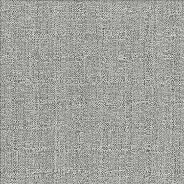 Cabo Pewter by Kasmir Fabric 5042 100% Polyester CHINA 15,000 Wyzenbeek Double Rubs H: N/A, V: N/A 56 - Fabric Carolina - Kasmir