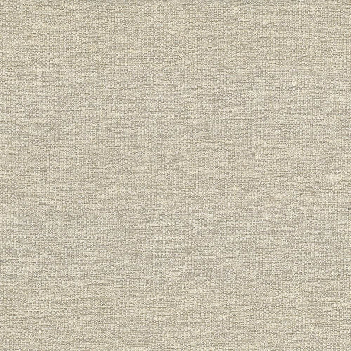 Cabo Sand by Kasmir Fabric 5042 100% Polyester
 CHINA </p><p>Repeat: Horizontal: N/A and Vertical: N/A 56 - Fabric Carolina -