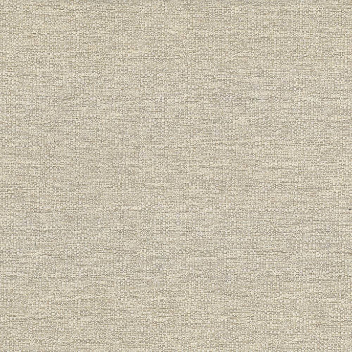 Cabo Sand by Kasmir Fabric 5042 100% Polyester CHINA 15,000 Wyzenbeek Double Rubs H: N/A, V:N/A 56 - Fabric Carolina - Kasmir