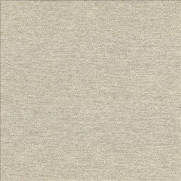 Cabo Sand by Kasmir Fabric 5042 100% Polyester CHINA 15,000 Wyzenbeek Double Rubs H: N/A, V: N/A 56 - Fabric Carolina - Kasmir