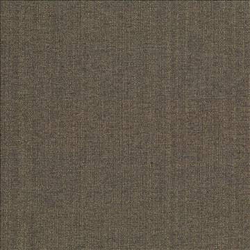 Cabo Walnut by Kasmir Fabric 5042 100% Polyester CHINA 15,000 Wyzenbeek Double Rubs H: N/A, V: N/A 56 - Fabric Carolina - Kasmir