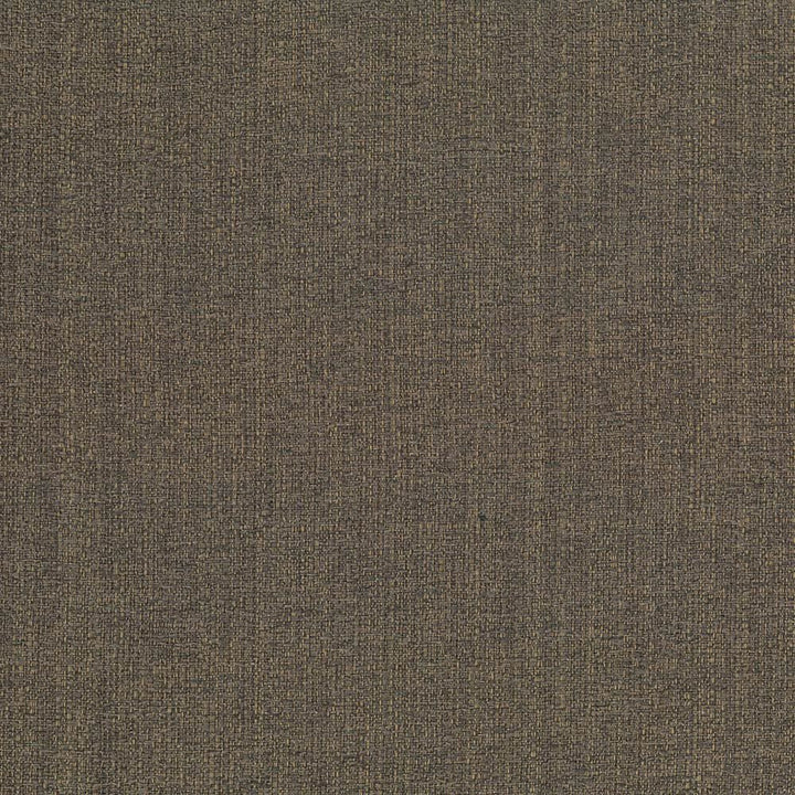 Cabo Walnut  by Kasmir Fabric See sample 100% Polyester
 CHINA 15,000 Wyzenbeek Double Rubs </p><p>Repeat: Horizontal: N/A and Vertical: N/A 56  - Fabric Carolina -