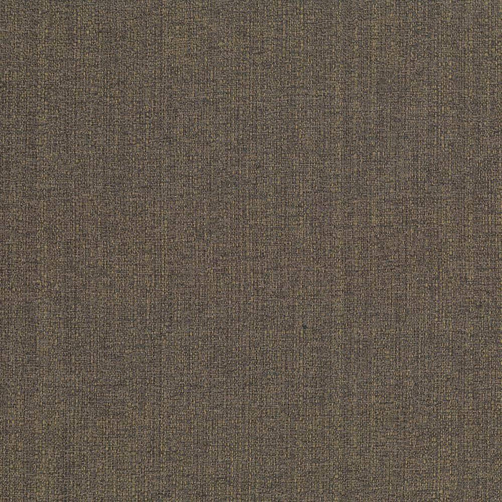 Cabo Walnut by Kasmir Fabric 5042 100% Polyester CHINA 15,000 Wyzenbeek Double Rubs H: N/A, V:N/A 56 - Fabric Carolina - Kasmir
