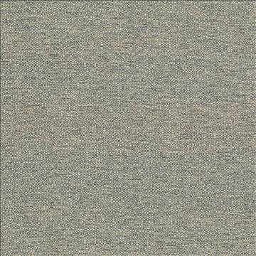 Cabo Zinc by Kasmir Fabric 5042 100% Polyester CHINA 15,000 Wyzenbeek Double Rubs H: N/A, V: N/A 56 - Fabric Carolina - Kasmir