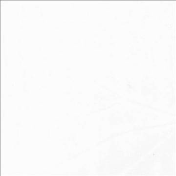 Cadiz White by Kasmir Fabric 5076 100% Polyester CHINA - H: N/A, V: N/A 117 - 118 - Fabric Carolina - Kasmir
