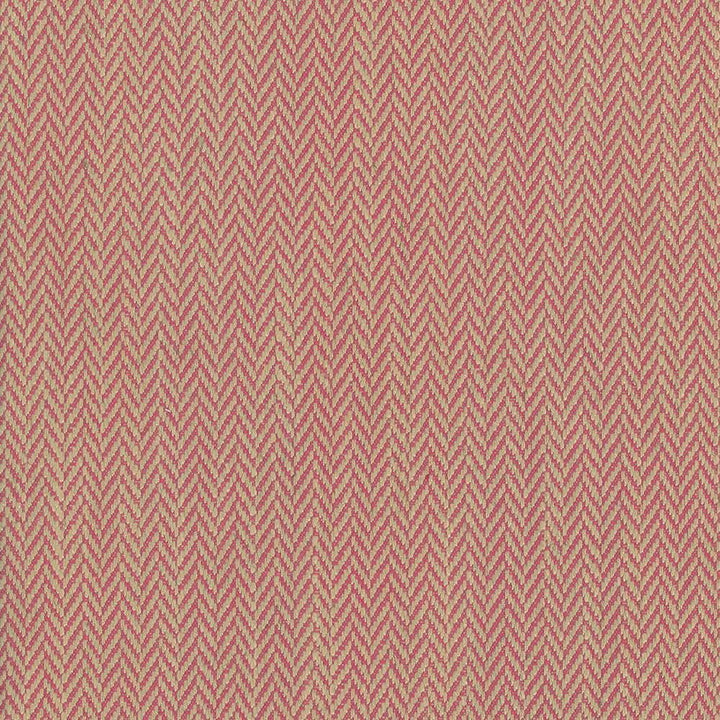 Callahan Azalea by Kasmir Fabric 1440 51% Polyester
39% Rayon
10% Linen
 CHINA 51,000 Wyzenbeek Double Rubs Horizontal: 5/8 inches and Vertical: 2/8 inches 56 - Fabric Carolina -