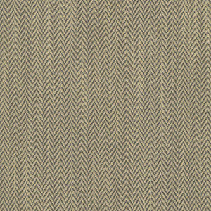 Callahan Driftwood by Kasmir Fabric