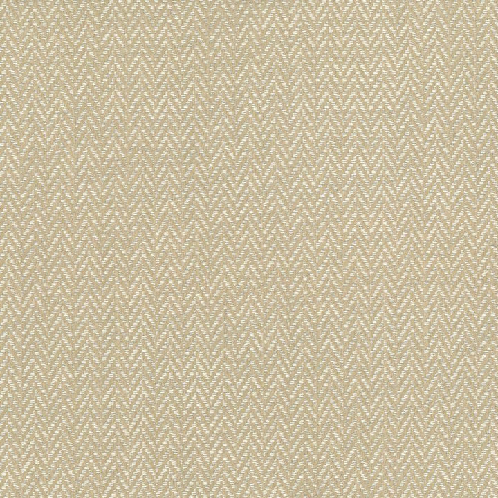 Callahan Oyster by Kasmir Fabric 1437 51% Polyester
39% Rayon
10% Linen
 CHINA </p><p>Repeat: Horizontal: 5/8 inches and Vertical: 2/8 inches 56 - Fabric Carolina -