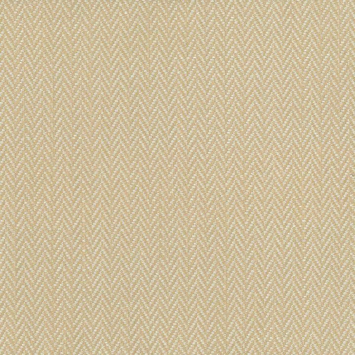 Callahan Oyster by Kasmir Fabric 1437 51% Polyester 39% Rayon 10% Linen CHINA 51,000 Wyzenbeek Double Rubs H: 5/8 inches, V:2/8 inches 56 - Fabric Carolina - Kasmir