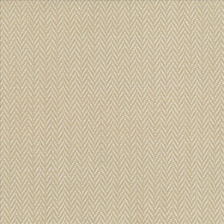 Callahan Oyster by Kasmir Fabric 1437 51% Polyester
39% Rayon
10% Linen
 CHINA 51,000 Wyzenbeek Double Rubs Horizontal: 5/8 inches and Vertical: 2/8 inches 56 - Fabric Carolina -