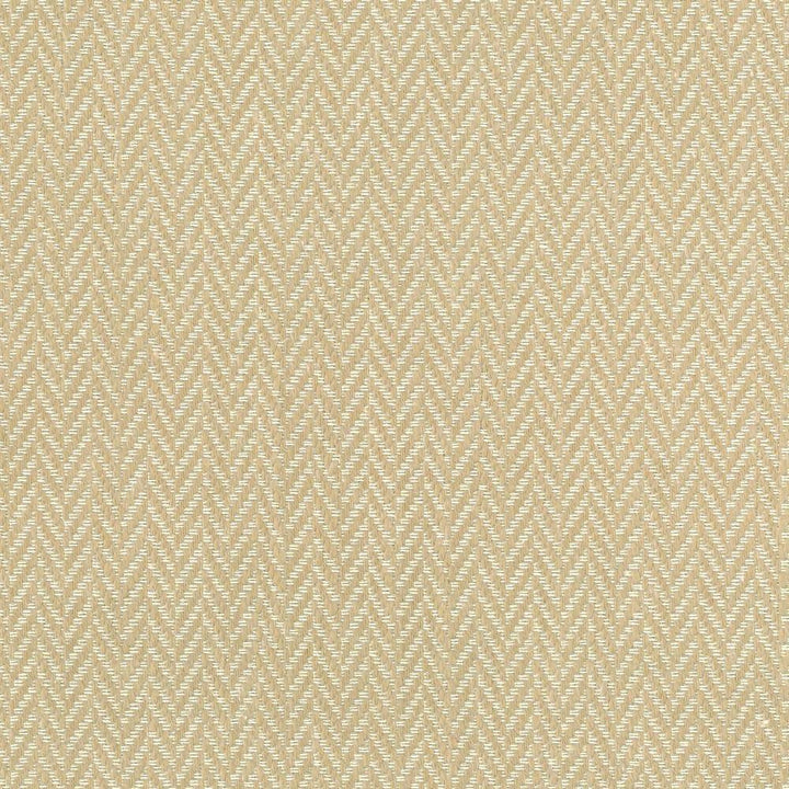 Callahan Sand by Kasmir Fabric 1437 51% Polyester 39% Rayon 10% Linen CHINA 51,000 Wyzenbeek Double Rubs H: 5/8 inches, V:2/8 inches 56 - Fabric Carolina - Kasmir