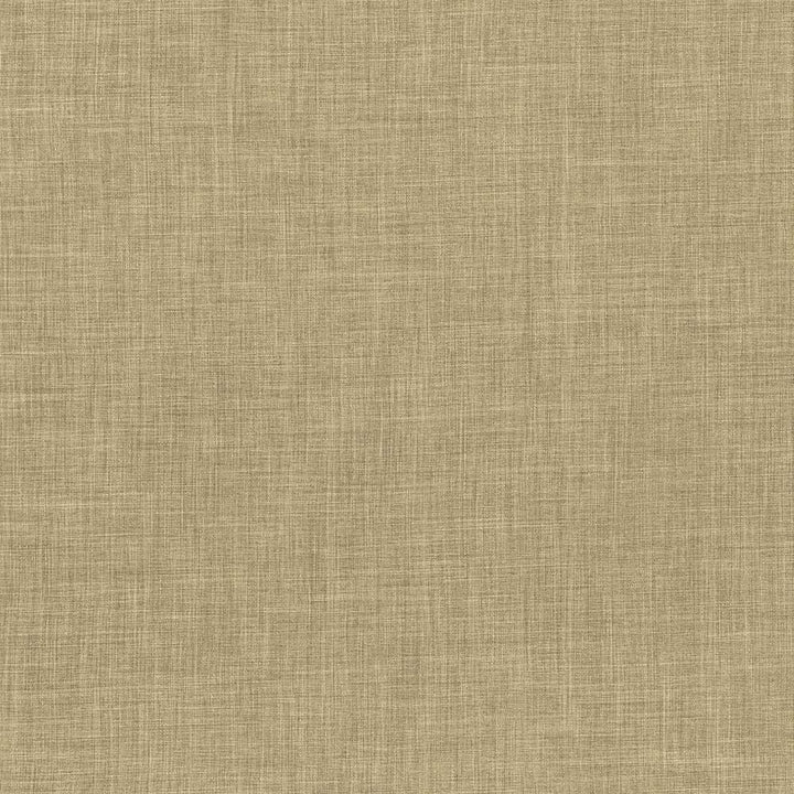 Calypso Camel by Kasmir Fabric 1341 100% Polyester
 TAIWAN 9,000 Wyzenbeek Double Rubs </p><p>Repeat: Horizontal: N/A and Vertical: N/A 54 - Fabric Carolina -