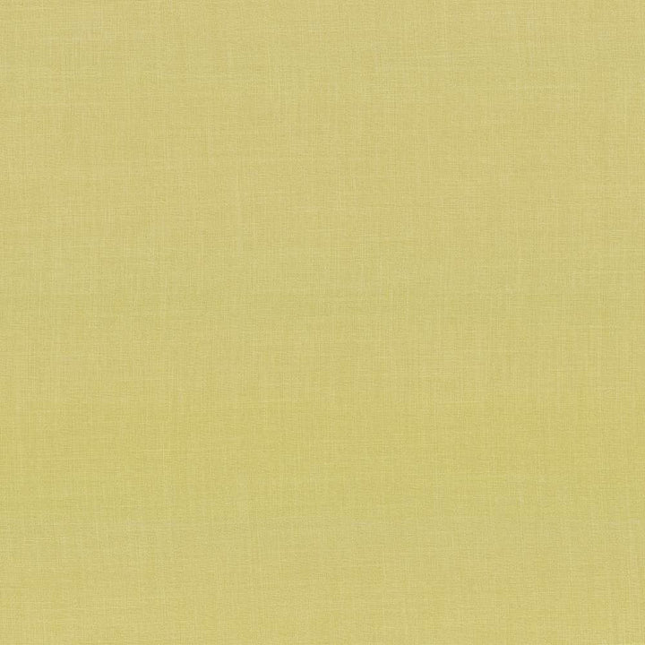 Calypso Citron by Kasmir Fabric 5020 100% Polyester
 TAIWAN </p><p>Repeat: Horizontal: N/A and Vertical: N/A 54 - 55 - Fabric Carolina -