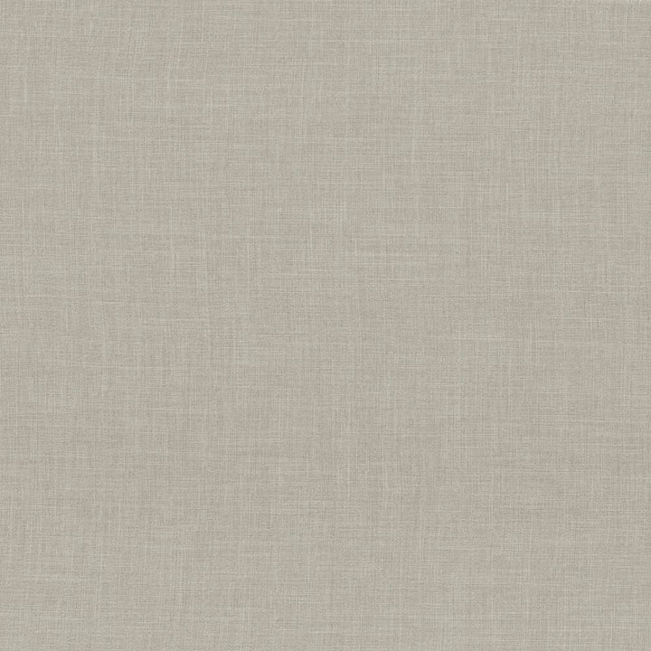 Calypso Driftwood by Kasmir Fabric 5020 100% Polyester
 TAIWAN 9,000 Wyzenbeek Double Rubs Horizontal: N/A and Vertical: N/A 54 - Fabric Carolina -