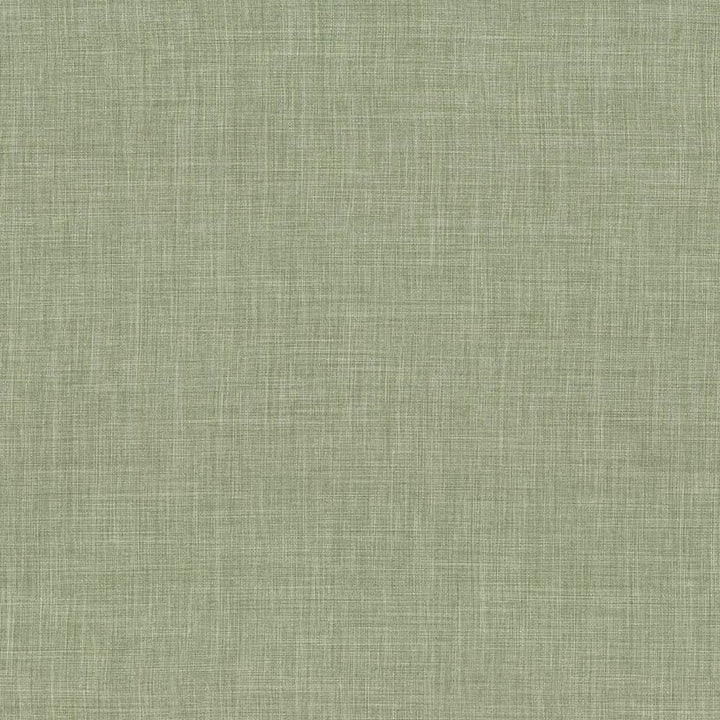 Calypso Green Tea by Kasmir Fabric 1341 100% Polyester
 TAIWAN 9,000 Wyzenbeek Double Rubs Horizontal: N/A and Vertical: N/A 54 - Fabric Carolina -