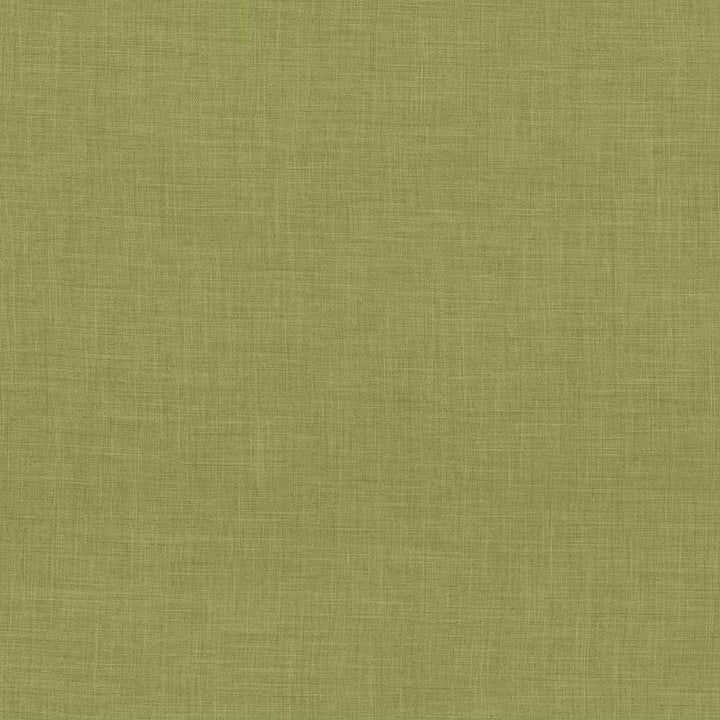 Calypso Olive by Kasmir Fabric 5020 100% Polyester
 TAIWAN </p><p>Repeat: Horizontal: N/A and Vertical: N/A 54 - 55 - Fabric Carolina -