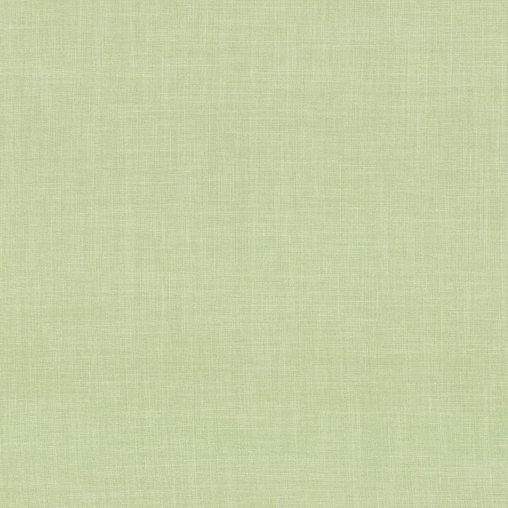 Calypso Pistachio by Kasmir Fabric 5020 100% Polyester
 TAIWAN 9,000 Wyzenbeek Double Rubs </p><p>Repeat: Horizontal: N/A and Vertical: N/A 54 - Fabric Carolina -