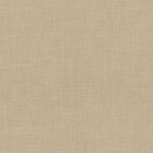 Calypso Putty by Kasmir Fabric