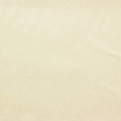 Cameo-123 by Kravet Design Fabric